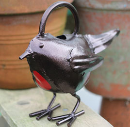 Eden Project robin watering can.jpg Eden Project robin watering can.jpg